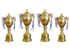 全国小型电动车测试大赛四大最佳奖