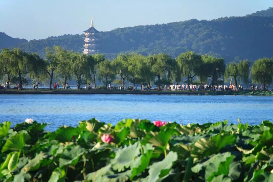 海全汽车芒种节气