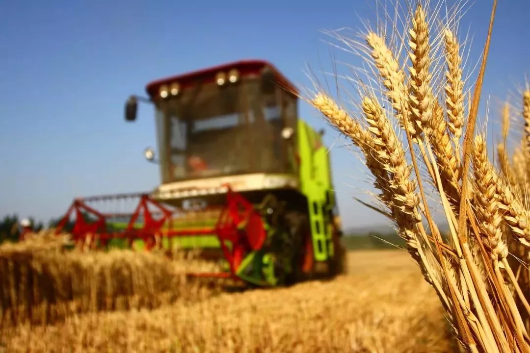 海全汽车芒种节气